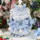 Новинка 2021, одежда для домашних животных, голубая Одежда для собак в стиле горничной, кружевные тканевые платья ручной работы для маленьких и средних собак, одежда для пуделя, пальто, платье