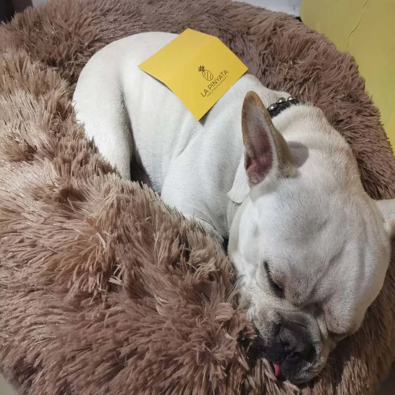 Питомник Doghouse глубокий спящий Кот гнездо длинный плюшевый зимний теплый коврик