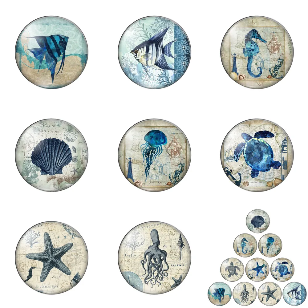 Морские организмы морская черепаха рыба звезда красивая 12 мм/20 мм/25 мм/30 мм