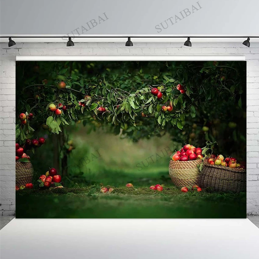 

Apple Portrait Backdrop for Photo Studio Orchard Landscape Green Trees Fruit Stand Child Background Photography Photoshoot Props