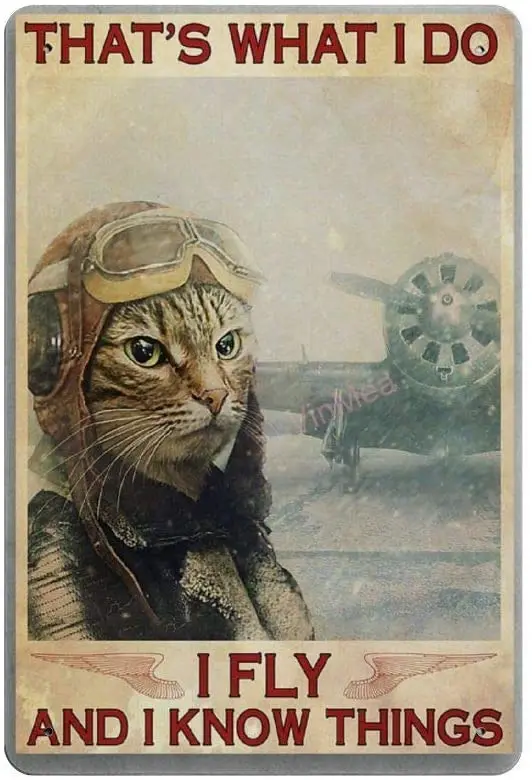 

That s What I Do Novelty Parking Retro Metal Tin Sign Plaque Poster Wall Decor Art Shabby Chic Gift