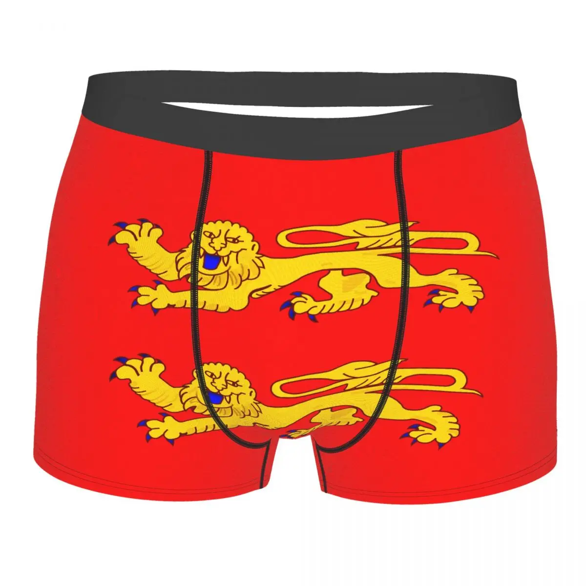 Flag Of Basse-Normandie Men's Boxer Briefs Flags of the regions of France Humor Graphic elastic pants for men