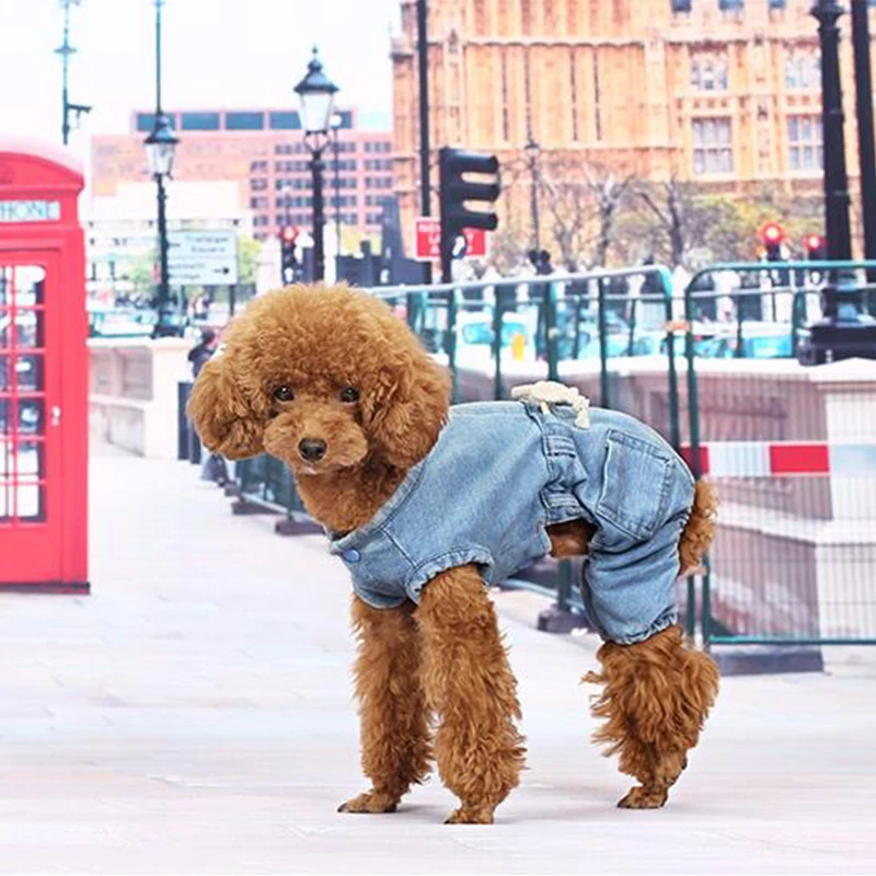Dog Coat Jacket Jeans Clothes For Small Medium Dogs Costume Spring Autumn Pet Jumpsuit Puppy Outfit Clothing | Дом и сад
