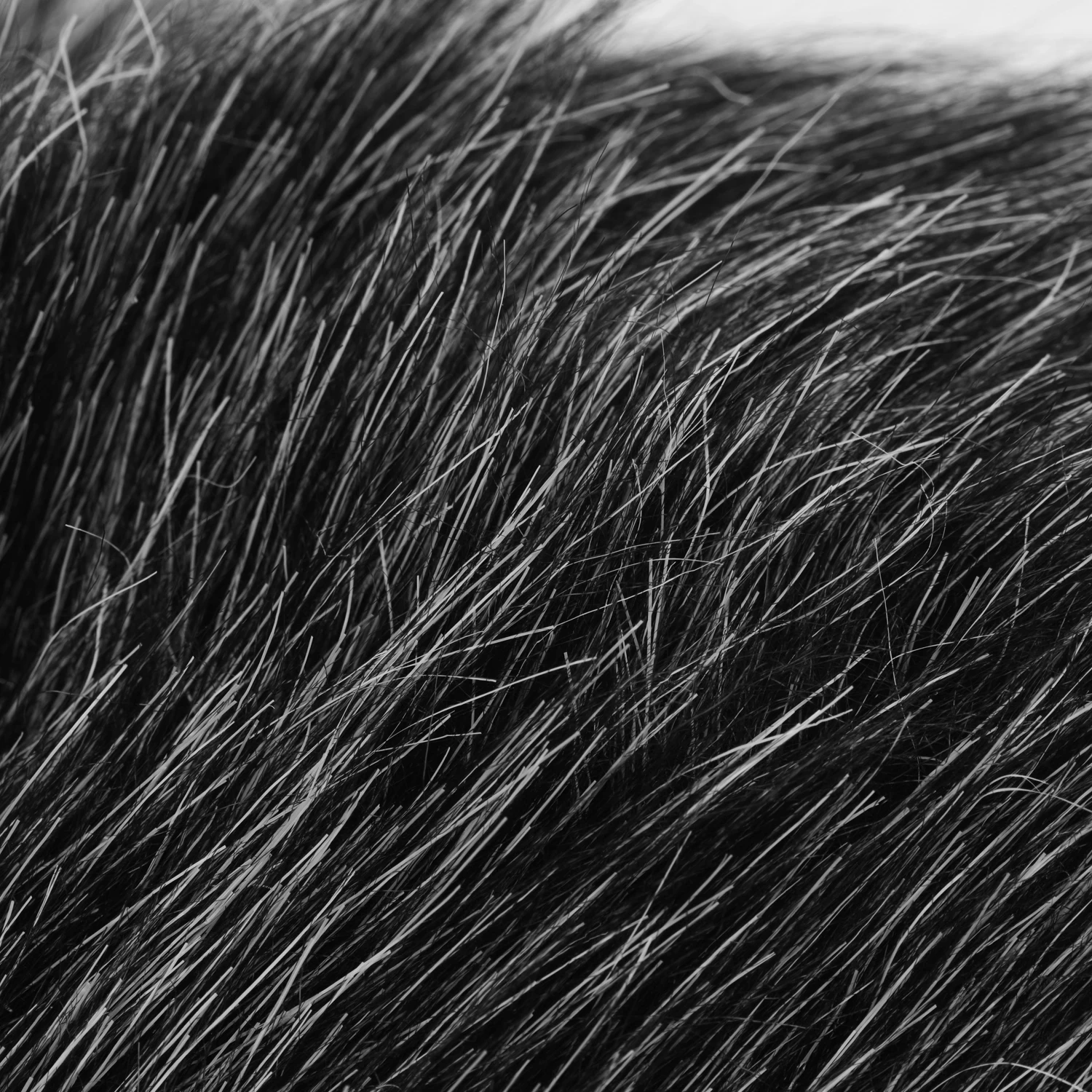 Микрофоны аксессуары для студийной фотосъемки на лобовом стекле лампа лобового