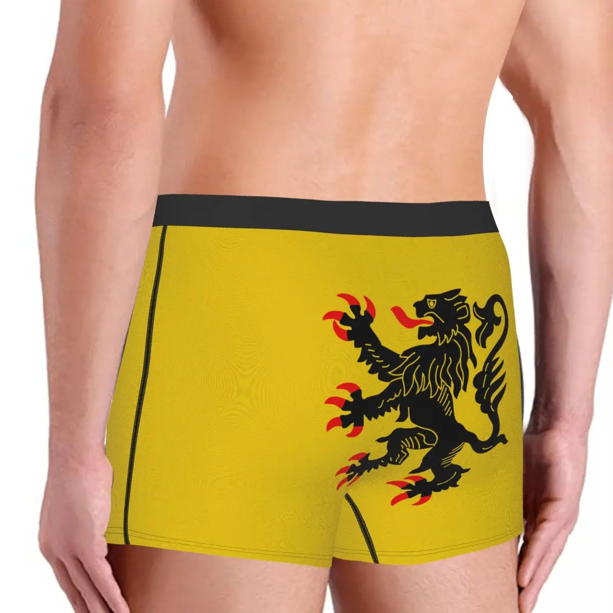 Generic Flag Of Nord-Pas-de-Calais Men's Boxer Briefs Flags of the regions of France Casual Men's boxer leggings