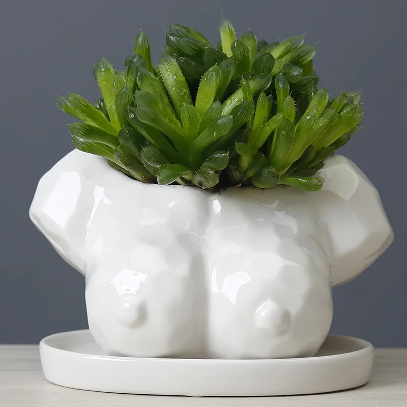 

Ceramic Body Art Succulent Flower Pot Desktop Ornaments Vase Creative Bust Sculpture Flower Pot Plant Potted Home Decoration