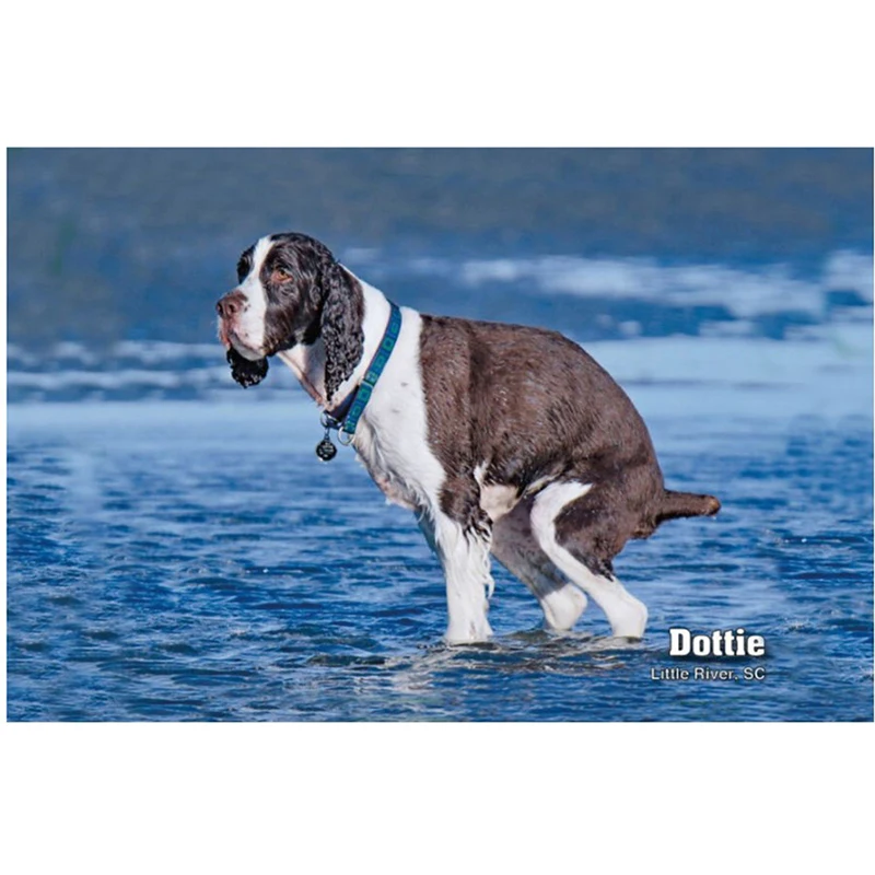 

2021 Dogs Pooping Calendar Gift Wall Calendar 12-month Schedule Calendar Paper Hanging Ornament Pendant New Year Decoration