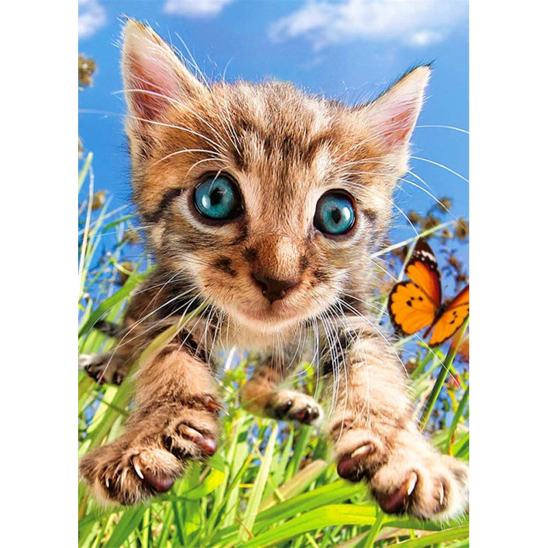 

Full 5D Diamond Painting Animal Kitten DIY Diamond Embroidery Suit for Home Decoration