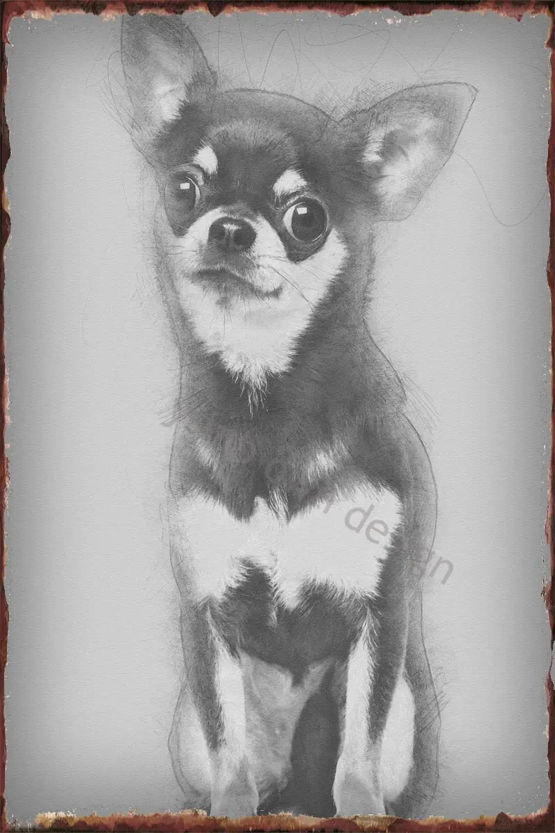 

Жестяные пластины для чихуахуа 15 лет, Si, Настенный декор, Ретро винтажный металлический знак, жестяной знак для искусства, кафе, паба, дома, к...