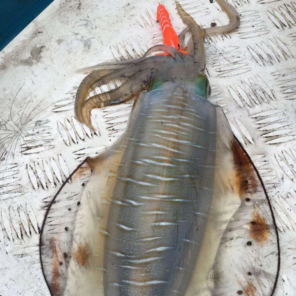 90 мм/21 г светящийся крючок в виде кальмара деревянная креветка приманки со звуком