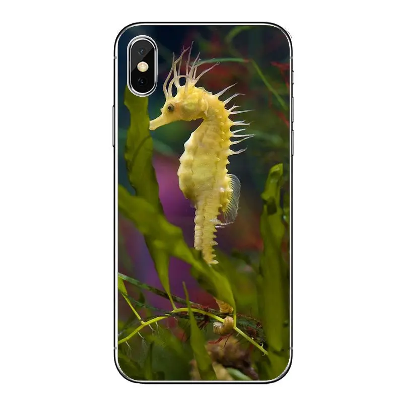 For Samsung Galaxy Note 8 9 S9 S10 A8 A9 Star Lite Plus A6S A9S Soft Transparent Cases Covers sea horse Rainbow Seahorse Pattern |