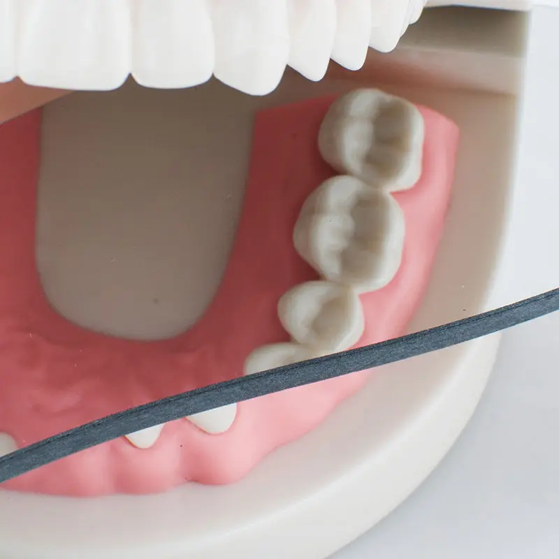 2 стороны Стоматологическая Интраоральная ортодонтического фотографические