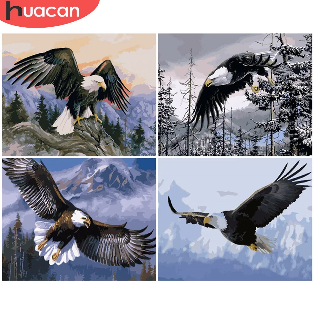 HUACAN DIY живопись по номеру Орел рисунок на холсте картины номерам наборы животных