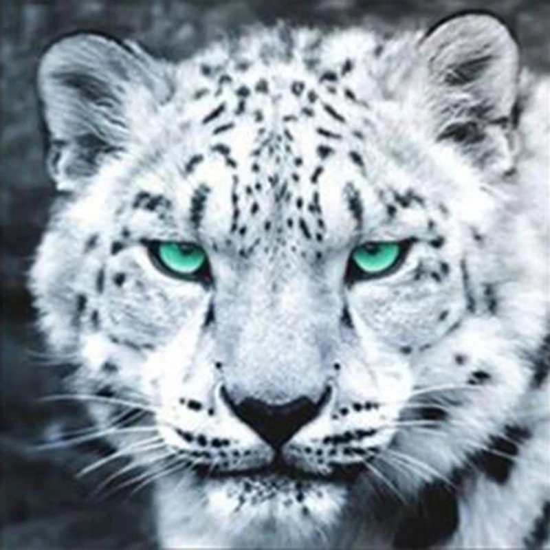 Алмазная 5D картина Белый Тигр круглая алмазная живопись сделай сам 100%|Алмазная