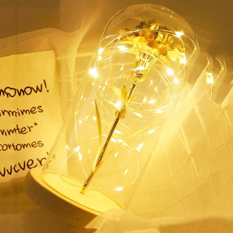 

Beauty in Glass with LED Light Silk Remote Control Artificial Rose Gift for Valentine's Day, Birthday, Anniversary