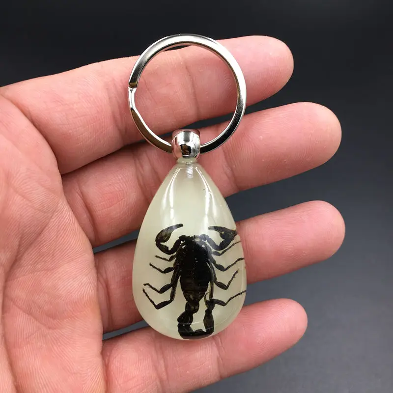 

Natural Insect Specimen Artificial Resin Noctilucence Car Keychain Pendant Personality Creative Jewelry Festival Party Gift