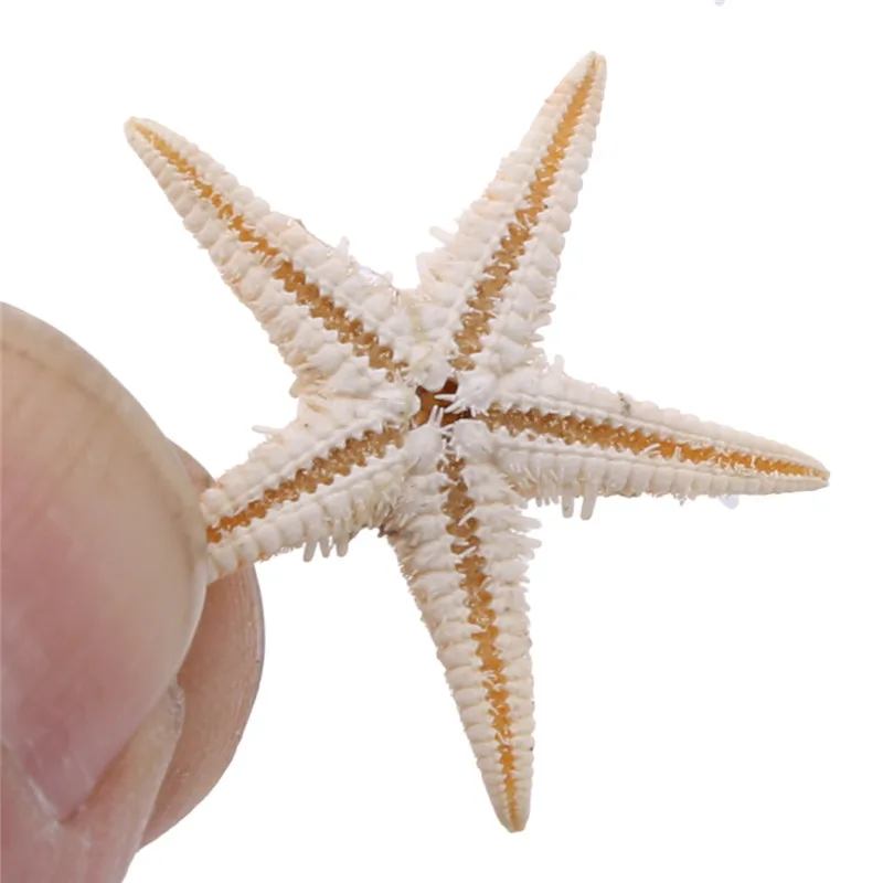 

100Pcs Natural Starfish Seashell Beach Craft Natural Sea Stars DIY Beach Wedding Decoration Crafts Home Decor Epoxy 1-3cm