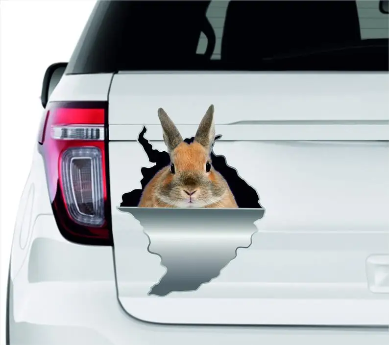

Rabbit 3d sticker Decal sticker Cute sticker Animals sticker Car print Domestic animals Wall sticker Rabbit decal Rabbit