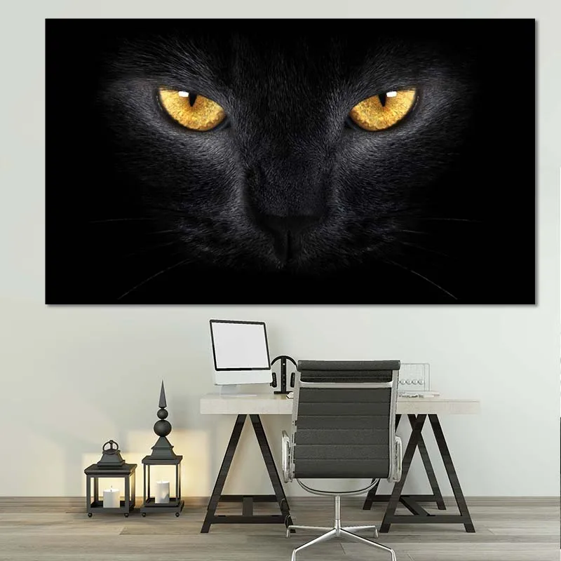 отель черный кот