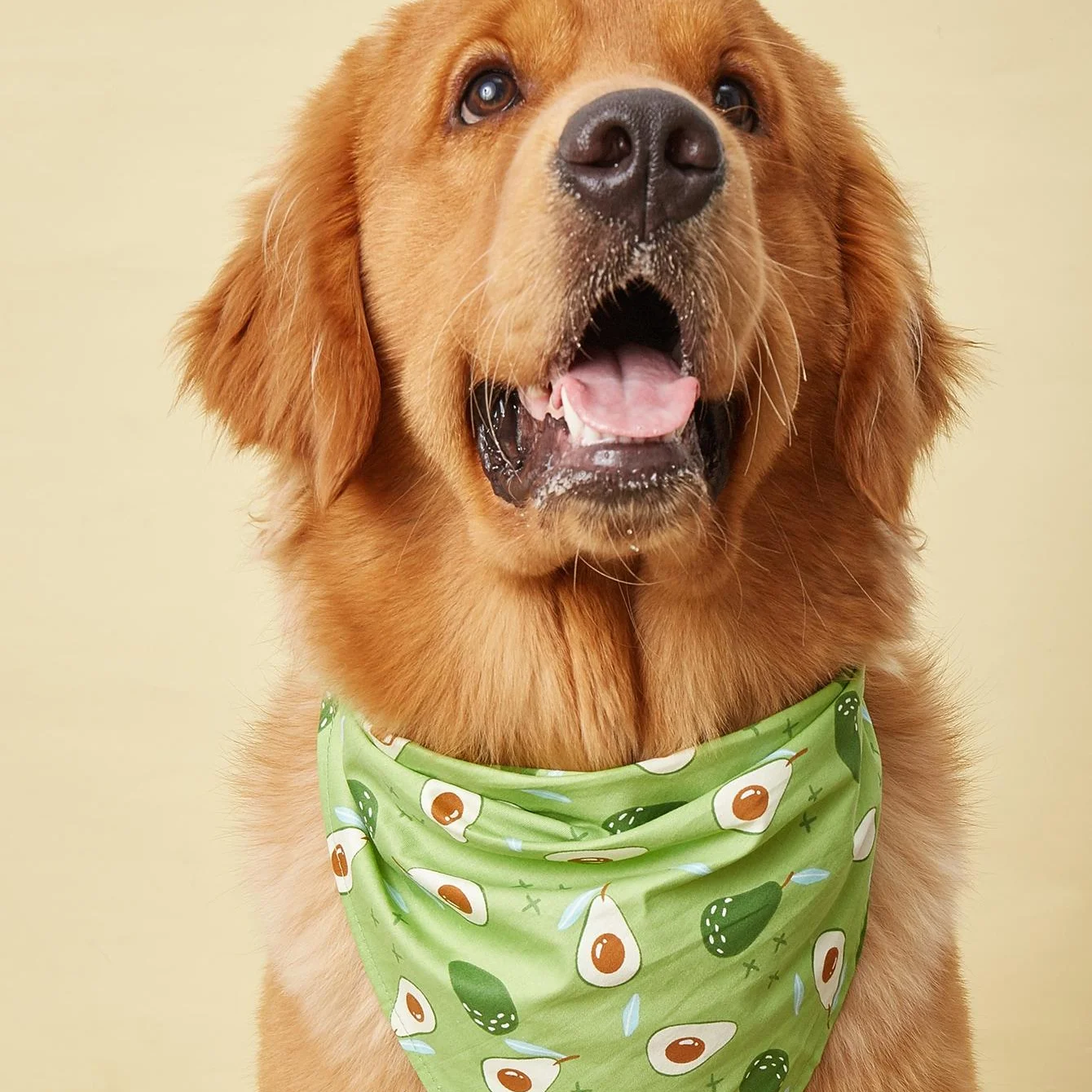 

Fruit Print Pet Dog Bandana Small Dog Cat Scarf Adjustable Cotton Dog Puppy Bandanas Bibs Summer Pet Dog Grooming Accessories