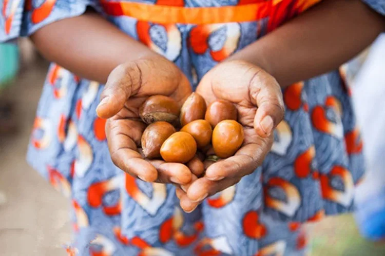 Chumolee натуральное нерафинированное масло ши 50 г растягивающиеся пятна для