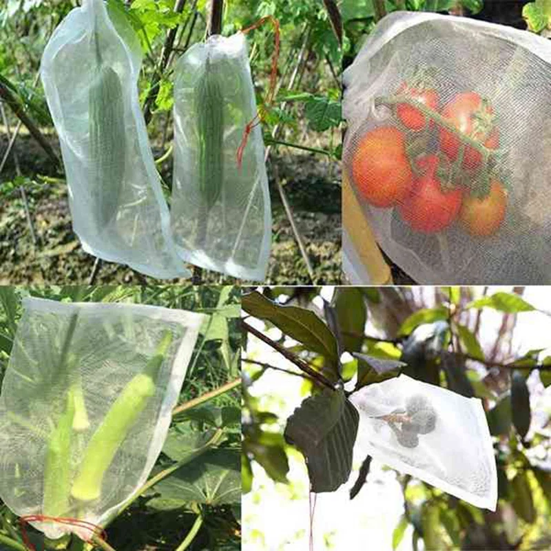 

100pcs Bags Fruit Protection Bags Reusable Produce Bags - Mesh Garden, Perfect for Most Fruits 12 Inches x 8 Inches
