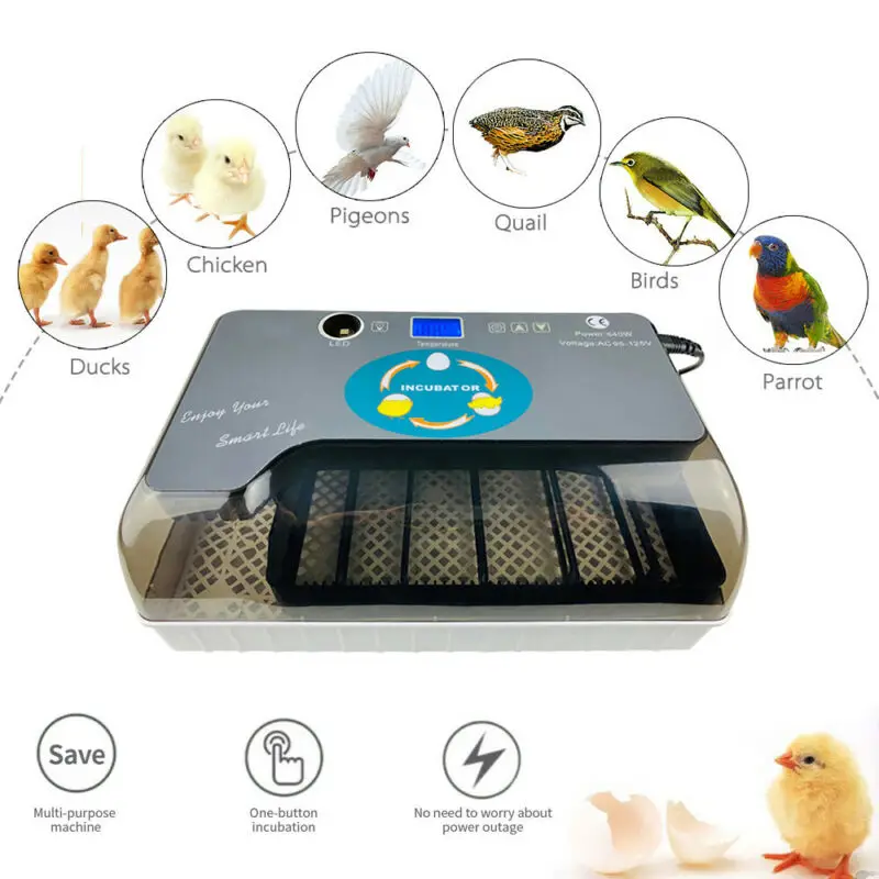 Newest Farm Hatchery Incubator Brooder Machine 4-35 Egg Hatchers Cheap Price Chicken Automatic Eggs Bird Quail |