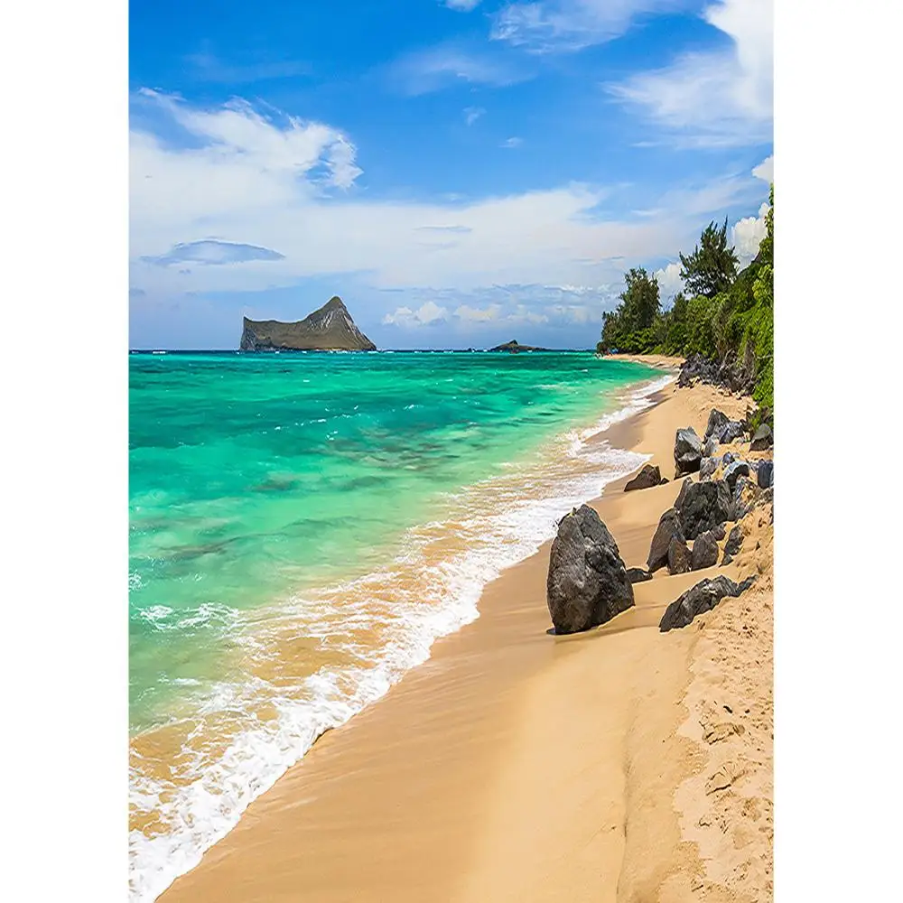 Морской большими камнями Пляжный Пейзаж фото фон напечатанный на компьютере для