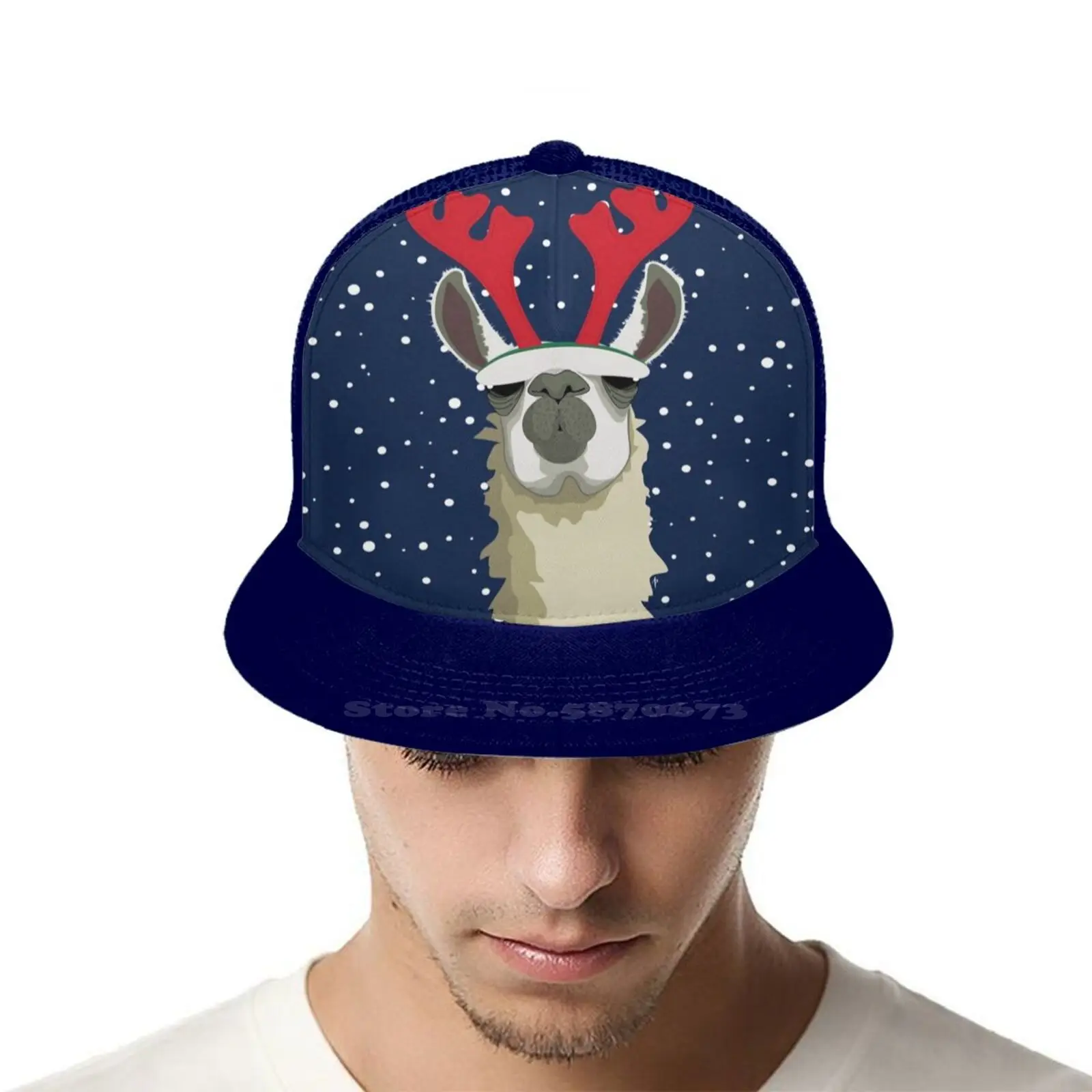 Llet идет снег в стиле хип хоп на плоской подошве шляпа с сеткой Аннет Парри Aparry