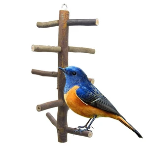 Bird Supplies Interactive Bird Chewing Molar Toy Parakeet Cage Perch Stand Toys Wooden Parrot Bite Resistant Toy Birds Supplies