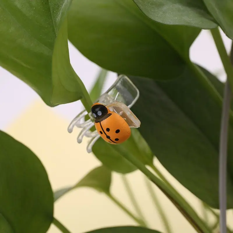 10 шт. милые носочки с Божьими коровками Орхидея зажимы Садовый цветок орхидеи