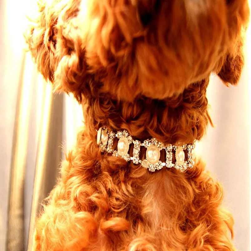 Стразы жемчужное ожерелье собачий ошейник сплав бриллиантовые Ошейники для