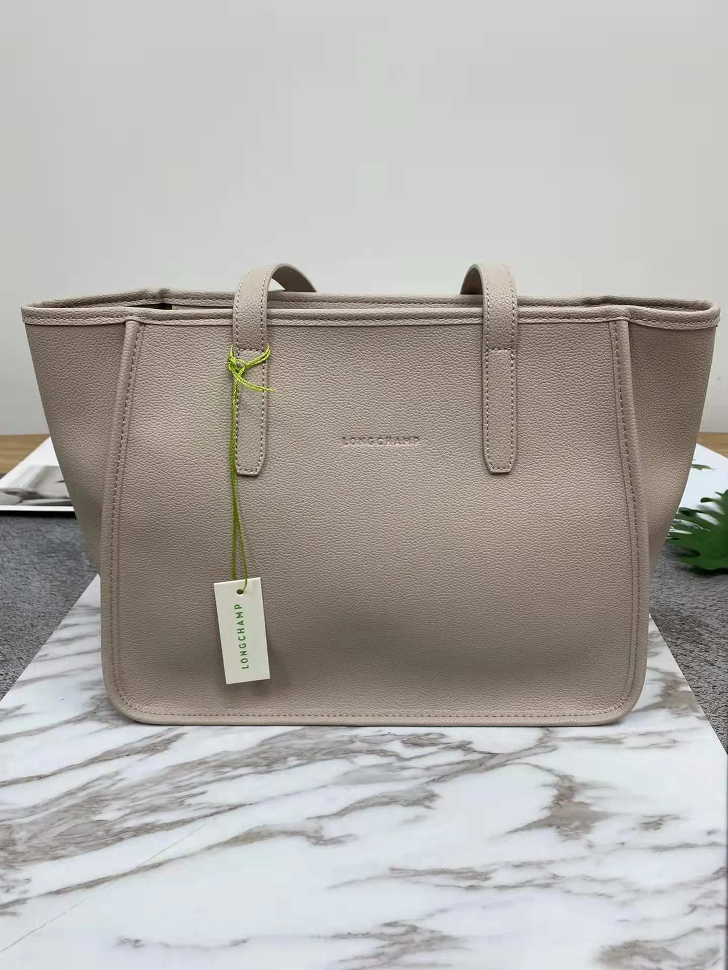 

LONGCHAMP 2021 European and American new style large-capacity tote bag fashion printing handbag luxury elegant lady shopping bag