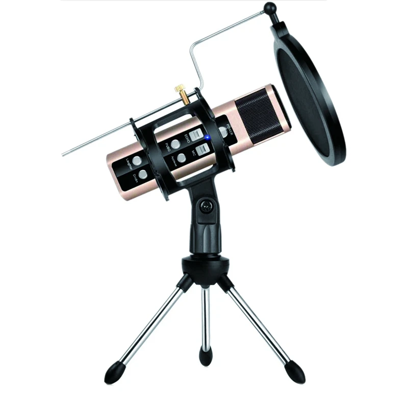 

Game Microphone Variable Sound Charging Aluminum Alloy Microphone is Suitable for Live Broadcast Singing and Recording