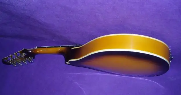 Новый мандолиновый промежуточный восьмиструнный инструмент мандолина в