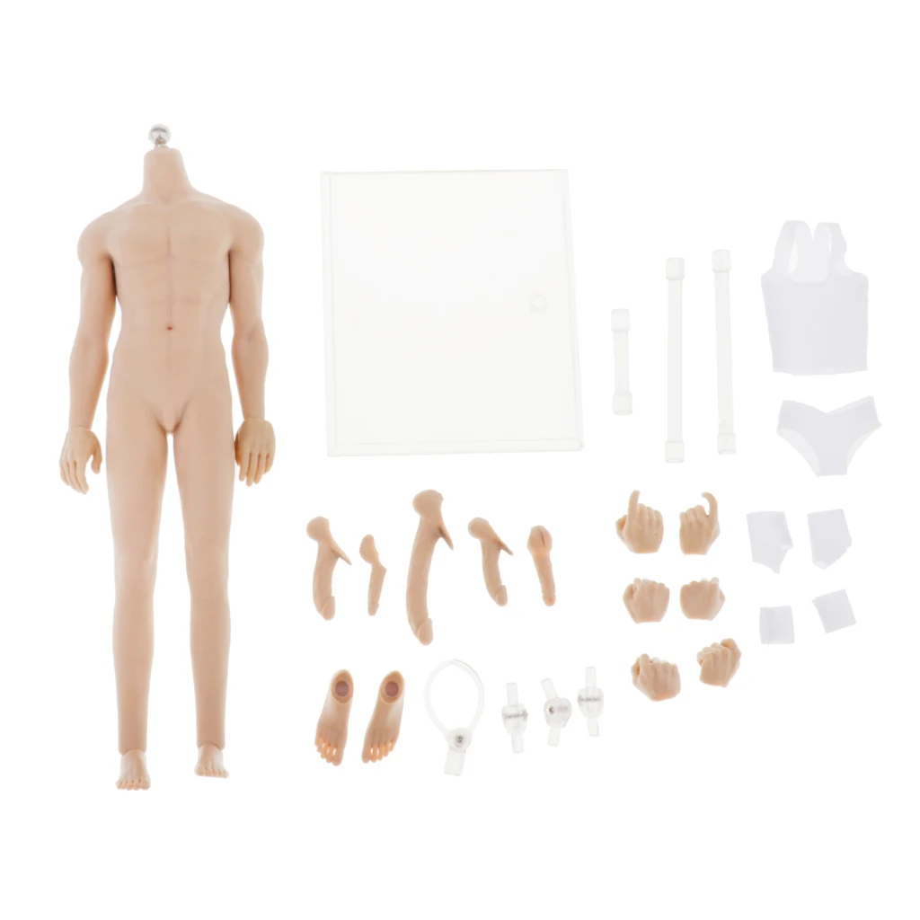 

Мужская бесшовная фигурка 12 дюймов, сильные мышцы, Мужской Корпус из ПВХ