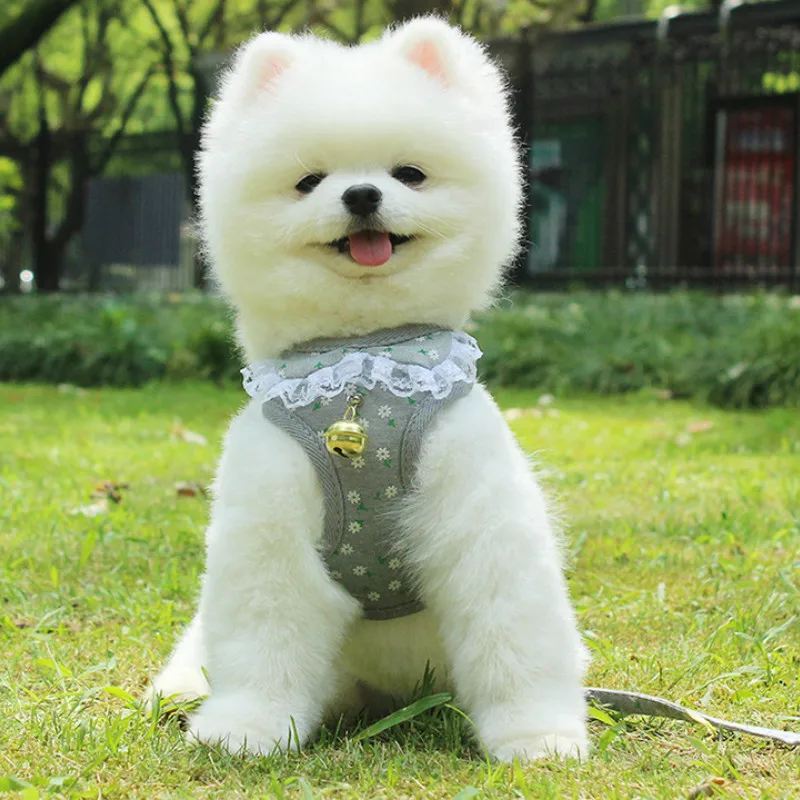 Товары для питомцев поводок собак набор жилетов кружевное белье из полиэстера