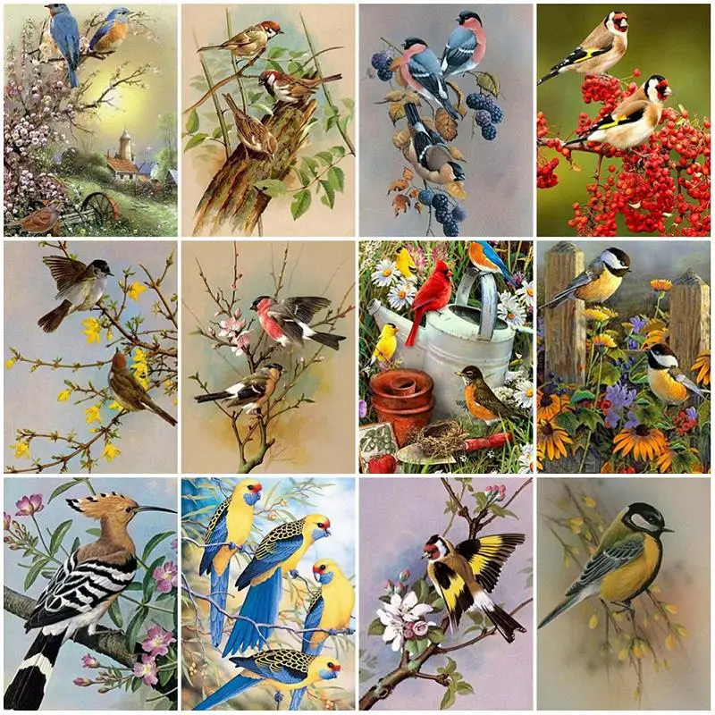 

Painting By Numbers Birds Animal DIY Oil pintura por números Room Wall Art Home Decor 40*50cm Pictures Drawing On Canvas