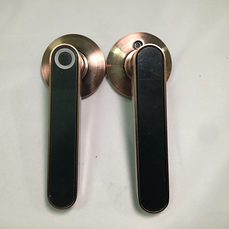 

Smart Biometric fingerprint Door Lock Code Phone APP Bluetooth One time code Dynamic code Unlock log Wooden Door handle lock