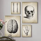 Мозг палец череп человеческая Анатомия рандомная Картина на холсте скандинавские плакаты и принты настенные картины для гостиной