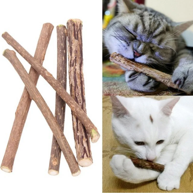 Натуральная кошачья мята Pet Cat зубная паста для кошек Matatabi плод актинидии Silvervine