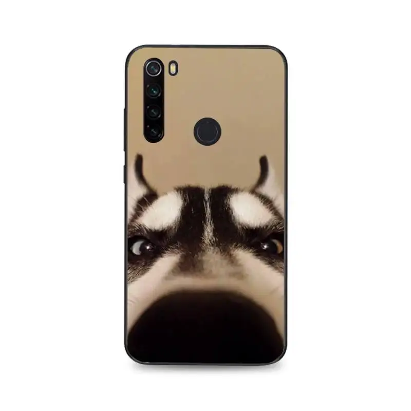 Чехол для телефона MaiYaCa Animal Husky cute Puppy Dog Customer высокого качества Xiaomi Redmi 4X 5A 6A 6 7 8 S2