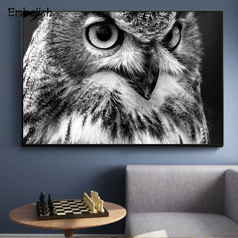 1 шт. черный и белый Орел с большими глазами Современный домашний декор животных
