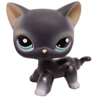 Редкие питомцы, подставки для игрушек, котенок с короткой шерстью, Такса, колли, датский дог, спаниель, щенок из старой коллекции оригинальных животных