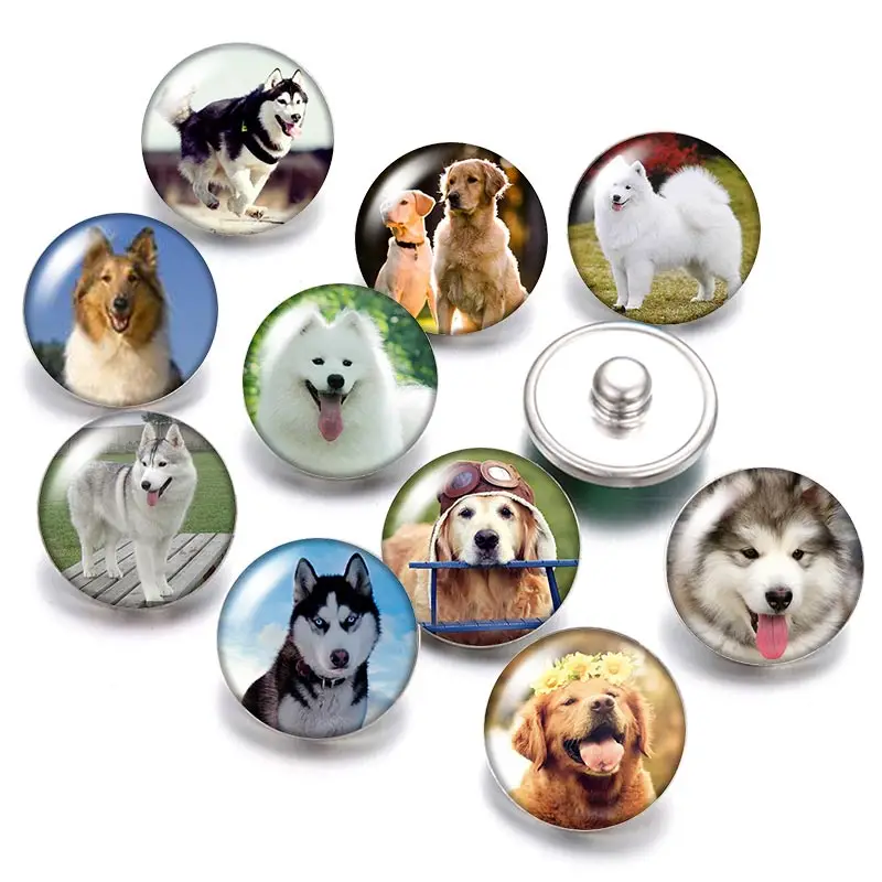 Lovely Dog Love pet 18mm snap buttons 10pcs mixed round photo glass cabochon style for snap button jewelry