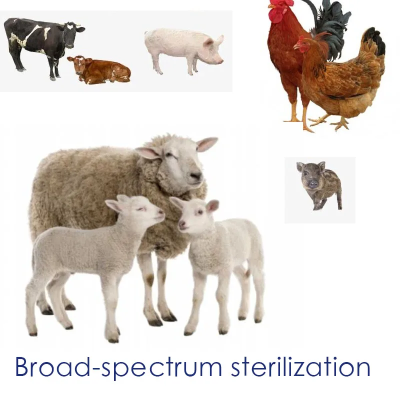 

Broad-spectrum sterilization 50 tablets/bottle