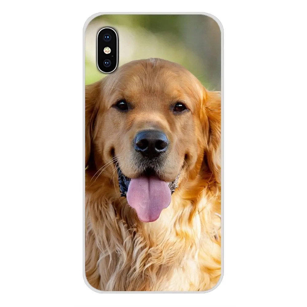 Аксессуары оболочка Чехлы животные милая собака золотой ретривер для Samsung A10 A30 A40