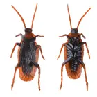 12 шт. Реалистичная игрушка тараканов гаджет на Хэллоуин приколы розыгрыши игрушки Пластиковые жуки