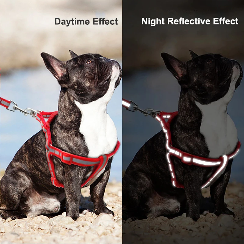 Светоотражающая шлейка и поводок для собак регулируемая яркость плоская веревка