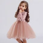 Осенне-зимнее платье для девочек детское платье с длинными рукавами для девочек кружевное праздничное платье принцессы школьная повседневная одежда для подростков детское платье